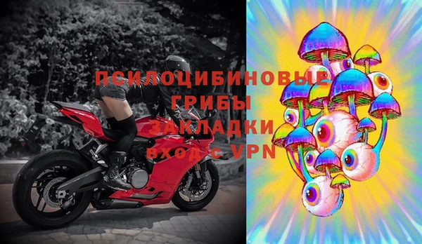 Альфа ПВП Краснослободск