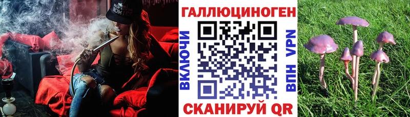 Купить  Железногорск-Илимский  Псилоцибиновые грибы ЛСД 