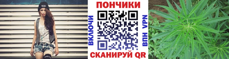Бошки марихуана план  Купить где  Железногорск-Илимский 